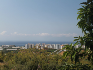 A19, Villa A19, Villa i Karcicak, ferievilla i Kargicak, Ejendomsmægler i Kargicak, Kargicak villa, Kargicak lejlighed, Ejendomsmægler i Alanya, Alanya ejendomsmægler, Kargicak ejendomsmægler