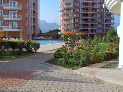 Orange Garden